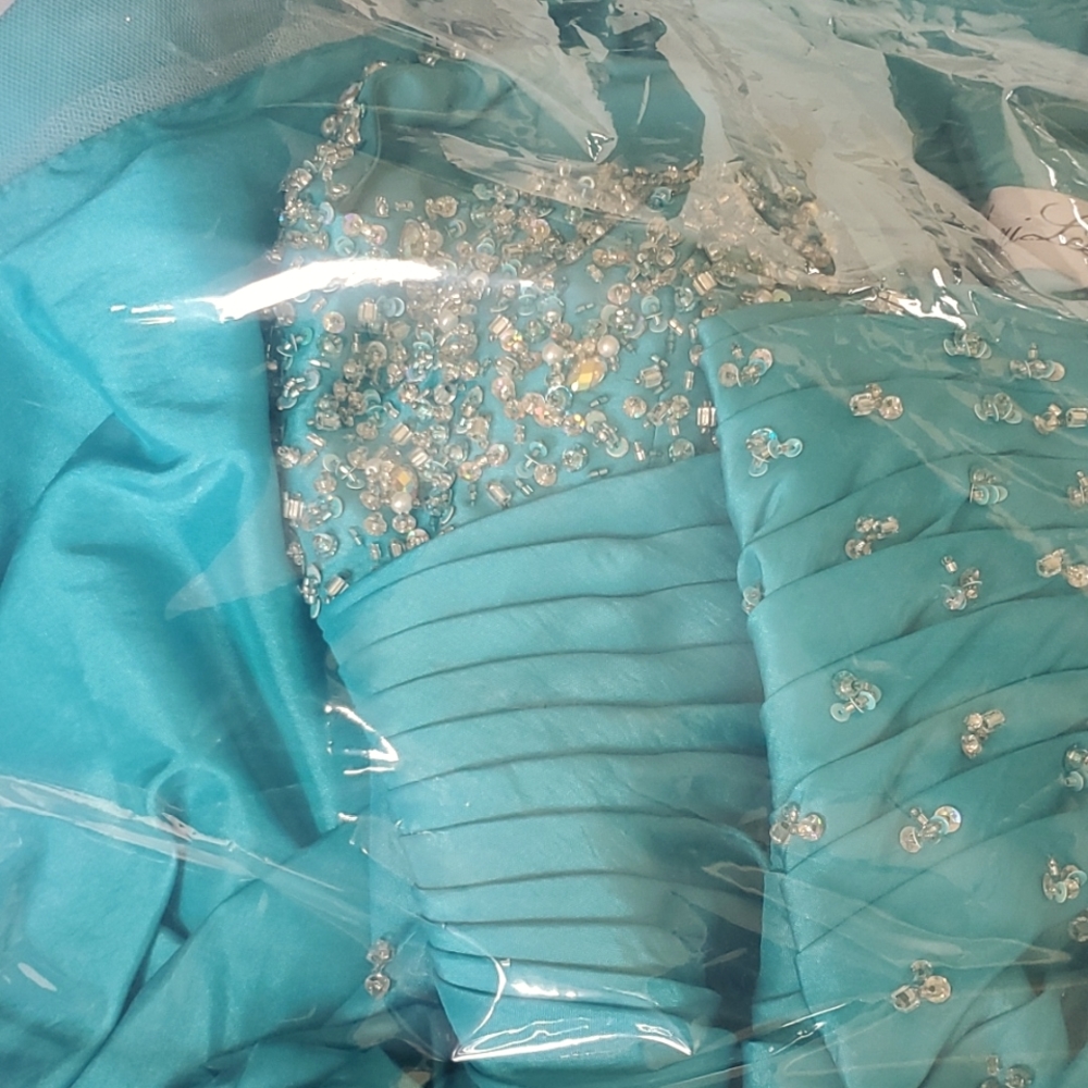 Vizcaya quinceanera dress/prom dress - Picture 8 of 13